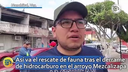 Así va el rescate de fauna tras el derrame de hidrocarburo en el arroyo Mezcalipa