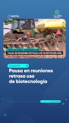 Pausa en reuniones retrasa uso de biotecnología