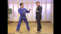 When Kenpo Strikes - Volume 11: Street Sparring Required For All Belts with Instructor Larry Tatum