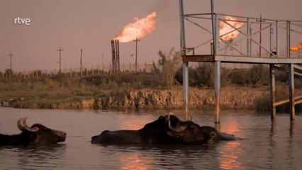 Contaminación Tòxica, un cielo envenenado