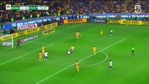 Tigres vs Puebla Partido Completo HD (03-12-23)