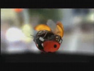 Peugeot 207 Coccinelle