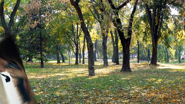 In The Land Of Saints And Sinners Ending Explained | liam neeson in the land of saints and sinners