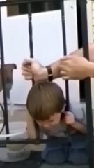 Head Stuck, Clever Child Successfully Passes Through Fence”