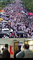 reaksi orang palestina melihat indonesia