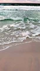 Aerobic vs. Anaerobic Exercise