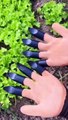 Gardening Working Gloves #shorts #viral #shortsvideo #video #innovationhub