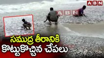 సముద్ర తీరానికి కొట్టుకొచ్చిన చేపలు | Cyclone Michaung | ABN Telugu