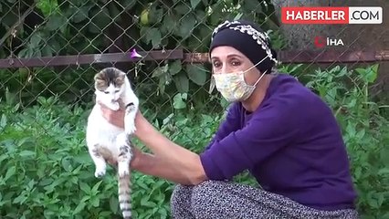 Adana'da kanser hastası kadın sokak kedilerinin annesi oldu