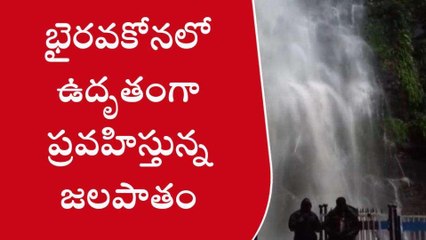 ప్రకాశం: భైరవకోనకు వరద పోటు ...ఉధృతంగా ప్రవహిస్తున్న జలపాతం