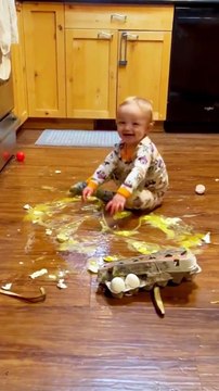 Baby Falling On The Eggs | Babies Funny Moments | Babies Funny Reactions | Cute Babies #cutebabies #baby #babies #beautiful #fun #love #cute #beautiful