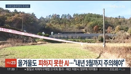 올겨울도 못 피한 조류인플루엔자(AI)…"내년 3월까지 주의해야"