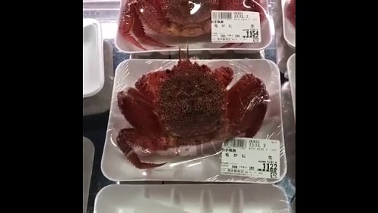 Markette satılan yengeç canlandı! Paketten çıktı gitti...