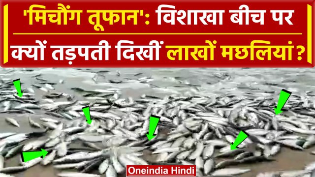 Michaung Cyclone: Vishakha Beach तपड़ती दिखीं लाखों Fishes | Bay of Bengal | वनइंडिया हिंदी #Shorts