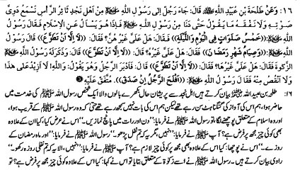 KIA SIRF FARZ PARHNA JANAT MAIN LY JAEGA (16)