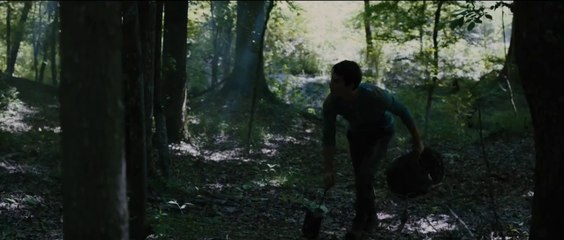 They lived in a labyrinth for many years, but after that time they managed to escape