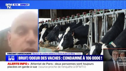 Un agriculteur condamné à 106.000 euros de dommages-intérêts pour le bruit et l'odeur de ses vaches témoigne sur BFMTV