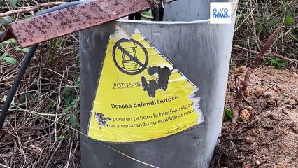 Espanha tem plano de 1,4 mil milhões para salvar Parque Nacional de Doñana