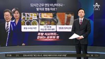 이달 안에 김혜경도 부른다…영장엔 ‘피의자 이재명 부부’