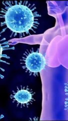 सुबह खाली पेट भुन हुए चने खाने से सेहत को मिलते हैं ये 6 फायदे #health