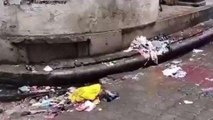 लखनऊः नगर निगम पर लापरवाही का आरोप लगाते हुए लोगों ने वीडियो किया वायरल