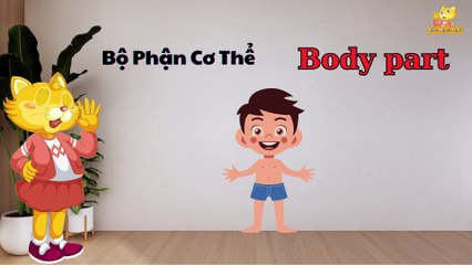 Từ vựng tiếng Anh thông dụng về cơ thể con người