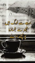 Sad Urdu Poetr Status | Weird Stories
