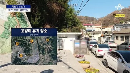[제보가 뉴스다]수백만 원씩 하는 고양이 22마리 유기