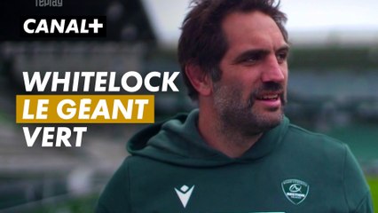 Sam Whitelock, le géant vert