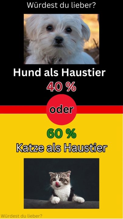 Was würdest du lieber?  Episode 01