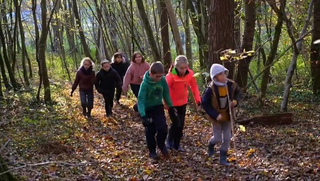 La Forêt, c’est la classe ! Bande-annonce VF