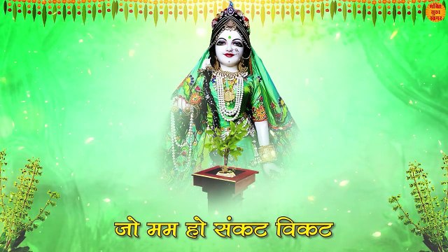 तुलसी चालीसा _ Namo Namo Tulsi Maharani _ Tulsi Chalisa Lyrics In Hindi _ Tulsi Chalisa Fast Video
