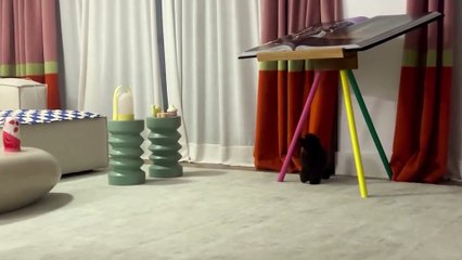 Laura Escanes comparte el juego favorito de Rock