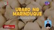 Sikat na ‘uraro’ ng Marinduque, paano nga ba ginagawa? | Dapat Alam Mo!