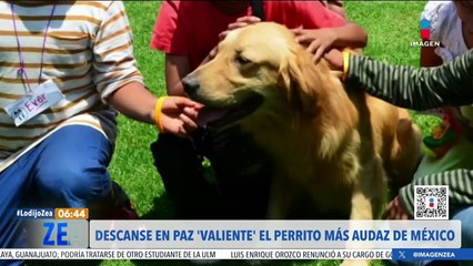 Murió "Valiente", policía canino y parte importante de la seguridad de México