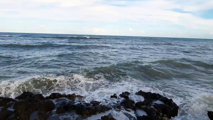 Pure Nature Collection  - Algeria - The Sea in Winter - 8