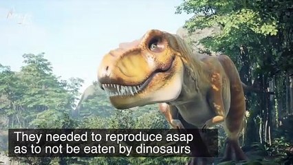 Microbiologists Have a New Theory About Why We Don’t Live To Be 200-Years-Old: Dinosaurs