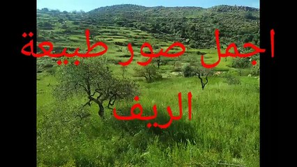 The most beautiful natural pictures and music