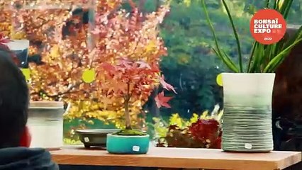 BONSAI CULTURE EXPO 2022