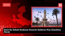 İzmir'de Sokak Kedisine Keserle Saldıran Kişi Gözaltına Alındı