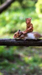 so adorable baby  so funny  #funny #comedy #baby #animals #baby