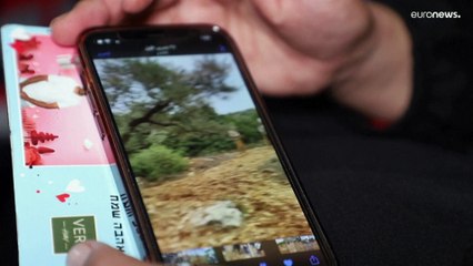 عنف المستوطنين تجاه فلسطينيي الضفة المحتلة.. شهاداتٌ صادمة ويأس من عدالة القضاء الإسرائيلي