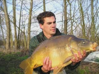 Contesse 29 mars 2008