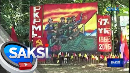 4 na House resolutions sa pagbibigay amnestiya sa mga rebelde, lusot na sa dalawang house committee | Saksi