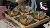 Sofía Corchero, ganadora de la 5ª edición del Máster Tapas de Pimiento del Piquillo de Lodosa