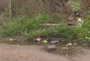 Derrame de aguas negras en San José del Valle afecta al río Ameca