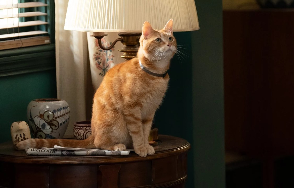 Disney essaye déjà d'oublier son pire film de 2023, un échec cuisant au box-office malgré ces super-héros Marvel