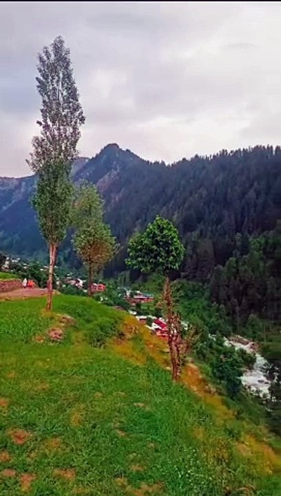 Nice view