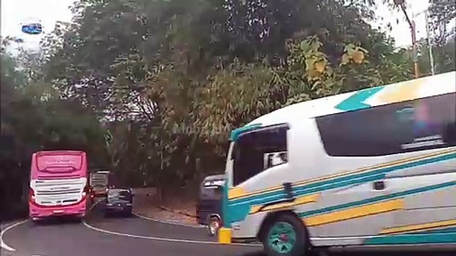 TELOLET BASURI BUS ARTIS, KOMPILASI BUS UNIK TELOLET