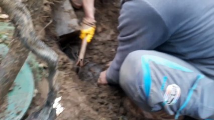 You have never seen the gold we found anywhere. Here you go, watch.